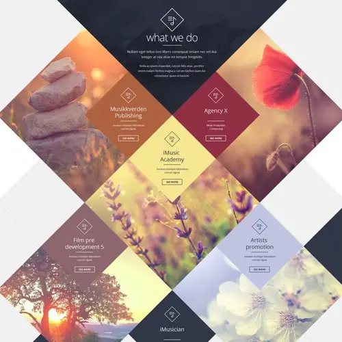 Digital Marketing Services