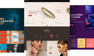 WordPress Web Design in Worland WY